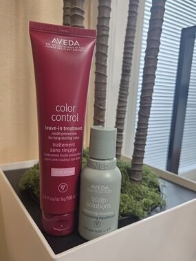 Aveda Color Control Leave-In Treatment 3.4 oz + Scalp Solutions Shampoo 1.7 oz